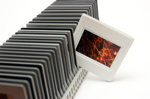 Digitize Slides or Negatives